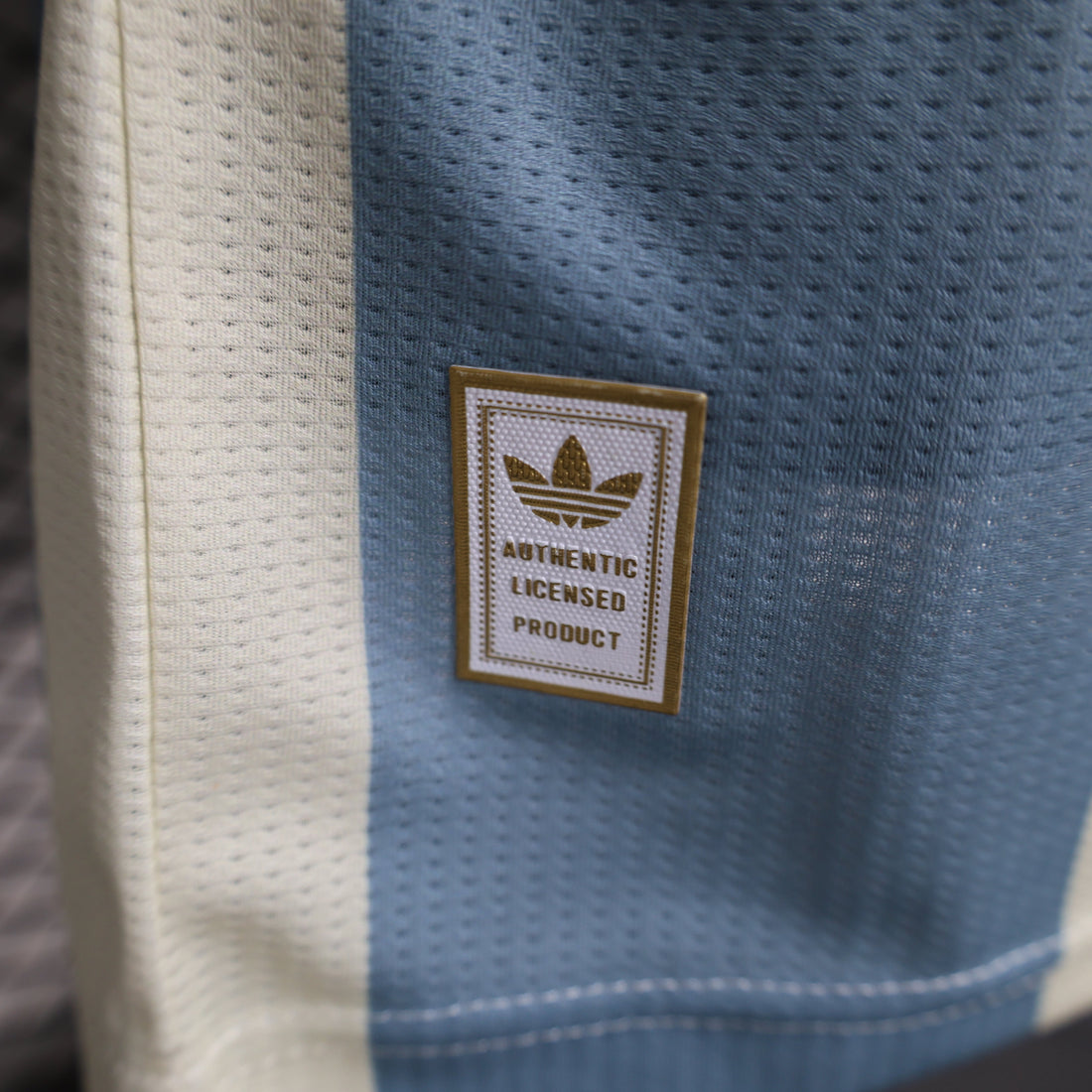 MAGLIA ARGENTINA Home VERSIONE GIOCATORE 25/26 50° anniversario