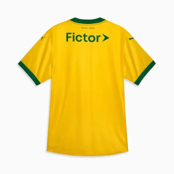Maglia Palmeiras Third 25/26