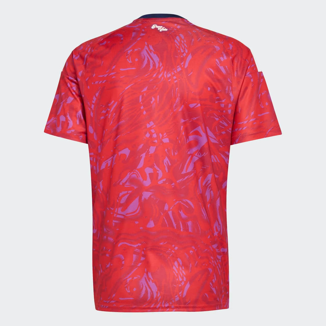 Maglie Calcio Costa Rica Home 26/27