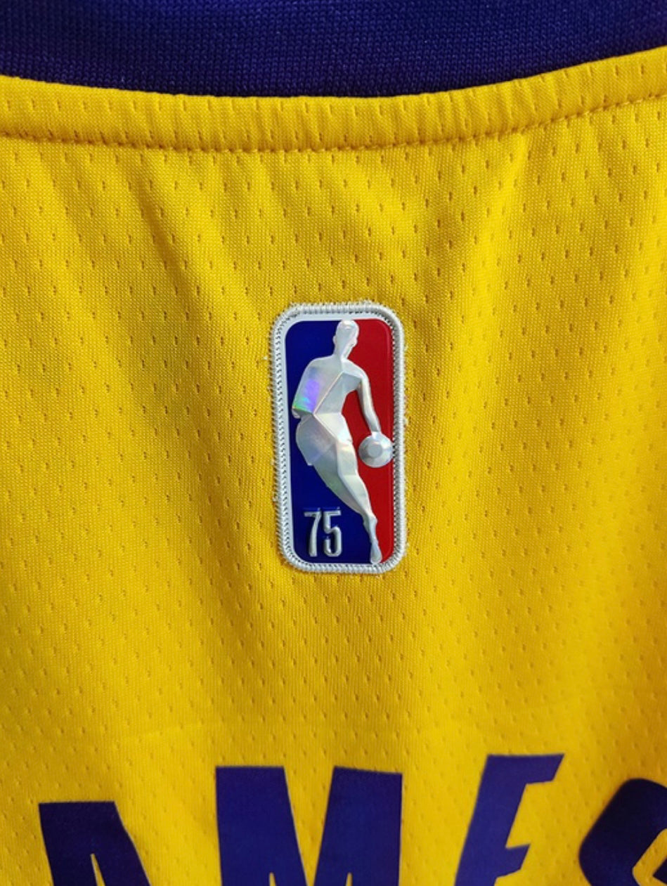 Maglia NBA Los Angeles Lakers #6 JAMES
